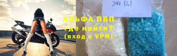 ПСИЛОЦИБИНОВЫЕ ГРИБЫ Белокуриха