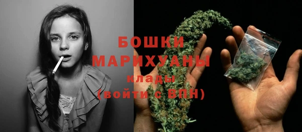 ПСИЛОЦИБИНОВЫЕ ГРИБЫ Белокуриха