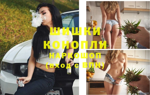 гидропоника Балахна