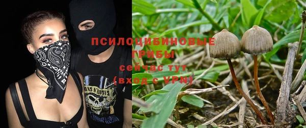 каннабис Баксан