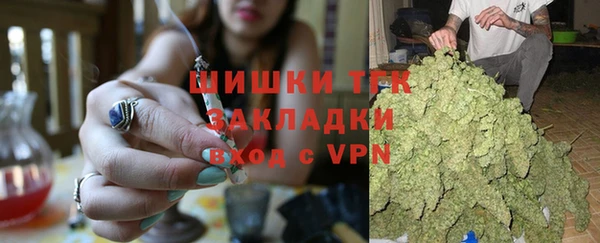 ПСИЛОЦИБИНОВЫЕ ГРИБЫ Белокуриха